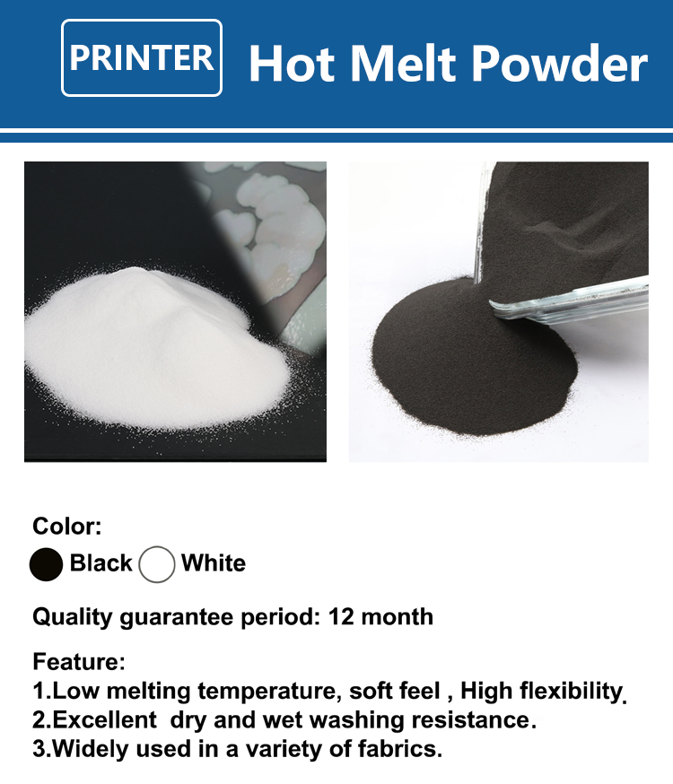 1000g 1kg DTF Powder Fine Powd - Direct To Garment Ink 评论和价格